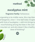 Method Foaming TUB+TILE CLEANER Eucalyptus Mint 28 Ounce 2 pack Packaging May Vary