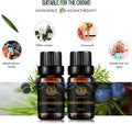 Aromatherapy Juniper Berry Essential Oil Set for Diffuser, 100% Pure Frankincense Essential Oil Kit for Humidifier, 2x10ml Therapeutic Grade Essential Oils Kit-Frankincense, Juniper Berry Oil for Home
