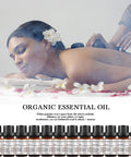 Top 12 Essential Oils Set, 100% Pure Natural Aromatherapy Essential Oil Gift Set(Rose, Jasmine, Vetiver, Chamomile, Sandalwood,Tea Tree, Frankincense, Cinnamon, Lavender, Lenmon, Orange, Peppermint)
