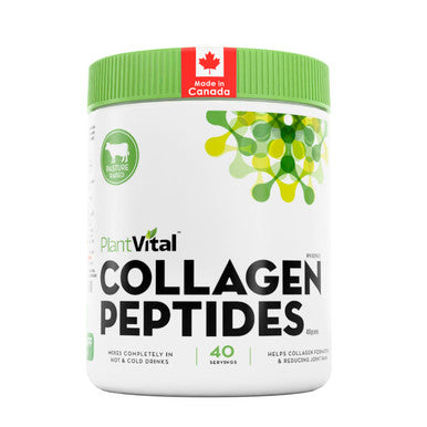 Plantvital Collagen Peptides Powder - Hydrolyzed 100% Grass Fed Collagen Powder Paleo Friendly Unflavored Supports Skin Hair Nails & Joints 400G Dissolving 40 Servings