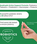 Probulin Total Care Immune Probiotic Supports Immune and Digestive System 30 Capsules