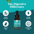Natures Craft Vegan Liquid Chlorophyll Drops - Super Concentrated Mint Flavored Chlorophyll Liquid Drops - Internal Cleanser Digestive Support Immune Health and Whole Body Detox and Cleanse Support (60 Servings)