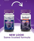 Sambucol Black Elderberry Gummies For Kids - Elderberry Gummies With Zinc And Vitamin C Chewable Supplement For Kids Low Sugar Berry Flavor 30 Count