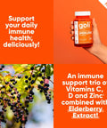 Goli Immune Vitamin Gummy - 60 Count - Elderberry Vitamin C D & Zinc Vegan Non-Gmo Gluten- & Gelatin- Pack Of 1
