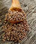 Brown Lentils, Small, 5 Pounds USDA Certified Organic, Non-GMO, Bulk, Product of USA, Mulberry Lane Farms