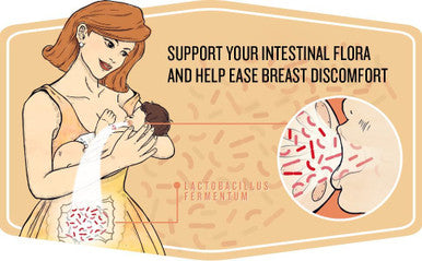 Legendairy Milk Lacta-Biotic Breastfeeding Probiotic | Lactation Supplements | Breast And Gut Health For Mom And Infant Immune Health For Baby | Daily Supplement For Healthy Lactation 30 Count
