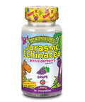 KAL Jurassic Elderberry 75mg | 30ct