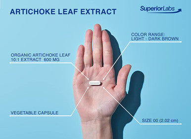 Superior Labs Organic Artichoke Leaf Extract NonGMO Powerful 5 Caffeoylquinic Natural Dietary Supplement for Healthy Metabolism Digestion Antioxidant 600 mg Dosage 180 Veg Caps