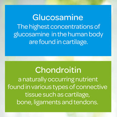 Puritans Pride Triple Strength Glucosamine Chondroitin with Vitamin D3 Caplets 160 Count