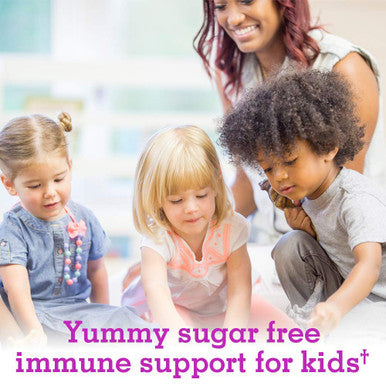 Garden of Life Organic Sambucas Elderberry Syrup For Kids Plus Aronia Berry & Acerola Cherry With Vitamin C For Immune Support Sugar Free Liquid 3.9 Fl Oz