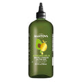 Mantova Squeeze Oils ÃƒÂ¢Ã¢â€šÂ¬Ã¢â‚¬Å“ Extra Virgin Olive Oil and Avocado Cooking Oils in Squeeze Bottles for Drizzling, Salads, Grilling, Frying, Roasting & Finishing (25.5 oz, Avocado)