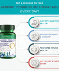 Blueberry Probiotic B12 Energy Melt by Purity Products ProDura Clinical Probiotic Organic Blueberries Methylcobalamin B12 30 Melts