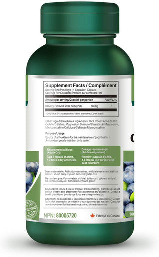 Bilberry Extract 8000mg Equivalent Raw Herb 90 Capsules Eye Antioxidant Circulation Enhancer Inflammation Reducer European Blueberry Paleo Friendly Supplement (1 Bottle)