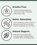 Utzy Naturals Allurtica | Herbal Supplement With Quercetin And Stinging Nettle | Seasonal Support For Adults & Kids | Non Drowsy | 120 Capsules