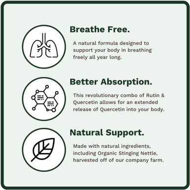Utzy Naturals Allurtica | Herbal Supplement With Quercetin And Stinging Nettle | Seasonal Support For Adults & Kids | Non Drowsy | 120 Capsules