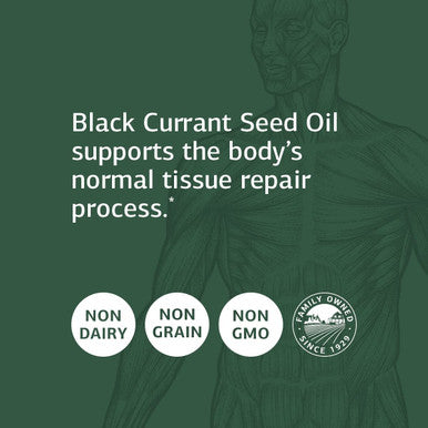 Standard Process Black Currant Seed Oil Immune With Whole Food Blend