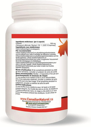 Nutridom Dandelion Root 500 mg (5000 mg Raw Equivalent) 10:1 Concentrate Ratio | 120 Vegan Capsules | Herbal Supplement for Liver Detox & Cleanse | Made in Canada