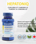 HEPATONIQ - Liver Protection and Antioxidant Support -Biogenique (60 Tabs)