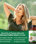 Zazzee Mimosa Pudica Seed 10:1 Extract, 200 Vegan Capsules, 1100 mg, 3+ Month Supply, Potent 10:1 Extract, Non-GMO and All-Natural