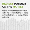 Secrets of the Tribe Teasel Alcohol-Free Extract, High-Potency Herbal Drops, Tincture Made from Teasel (Dipsacus fullonum) Dried Root 4 oz