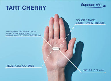 Superior Labs Organic Montmorency Tart Cherry 1000mg Extract 60 Veg Caps 2 Proanthocyanidins Celery Seed Black Pepper Extracts for Maximum Absorption Supports Balanced Uric Acid Levels