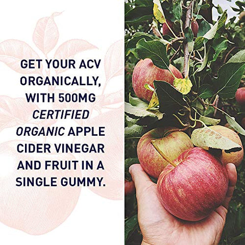 Garden Of Life Organics Apple Cider Vinegar Gummies With Vitamin B12 Organic Acv Gummy Vitamins Vegan Gluten-Free Non-Gmo 60 Gummies