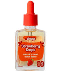 Allways Drops Natural Blueberry Water Enhancer | Sugar-Free, Zero Calories, Monk Fruit Sweetened | Glass Bottle for On-the-Go Hydration | Kids & Adults | 50 Servings