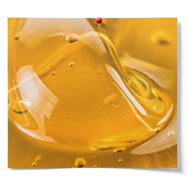 Fermentaholics Usda Organic Honey (1-Pack)
