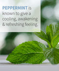 Garden of Life Energizing Peppermint 1 Fl. Oz. 183153
