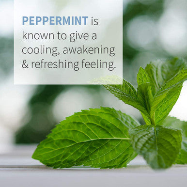 Garden of Life Energizing Peppermint 1 Fl. Oz. 183153