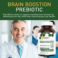Natural Stacks: BrainBiotic - Brain Supplement - Gut-Brain Axis Optimizer - Contains Probiotics for Brain Health - Promotes Digestive Health - Enhances Memory Function - Stress Relief - 90 ct