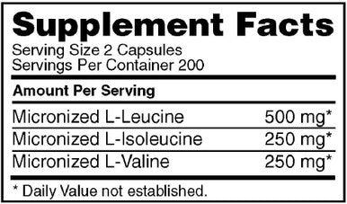 Optimum Nutrition Instantized Bcaa Capsules Keto Friendly Branched Chain Essential Amino Acids (400 Count) With Glutamine Muscle Recovery Capsules (240 Count) - Bundle Pack