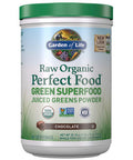 Garden of Life Raw Organic Perfect Food Green Superfood Juiced Greens Powder - Chocolate, 60 Servings, Non-GMO, Gluten Free, Vegan Whole Food Dietary Supplement, Plus Probiotics, Enzymes