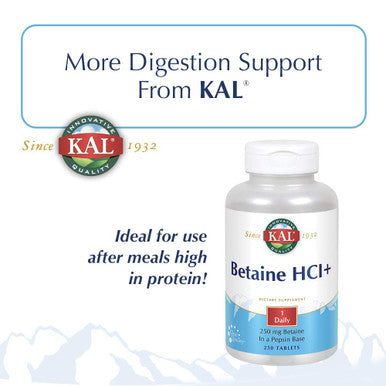 KAL 1400 Mg Pancreatin Tablets, 250 Count