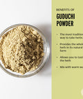 Banyan Botanicals Guduchi Stem Powder - Usda Organic, Spice Jar - Rejuvenating Herb For Digestion, Complexion, And Vitality*