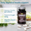 Live Cultures+ Lab4 Probiotics, Vegan Lactobacillus Acidophilus & Bifidobacterium, Guaranteed 25 Billion CFU, Plus Non-Bloating Prebiotic for Men & Women, 30 Capsules, by Igennus