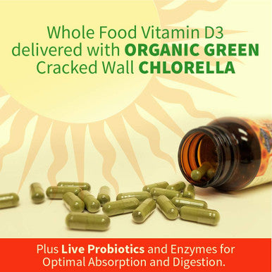 Garden of Life D3 - Vitamin Code Whole Food Raw D3 Vitamin Supplement 2000 Iu Dairy And Gluten Free Vegetarian 120 Capsules D3 With Organic Green Cracked Wall Chlorella Plus Probiotics
