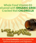 Garden of Life Vitamin D & Zinc Supplements 30Mg High Potency Raw Zinc And Vitamin C Multimineral Supplement