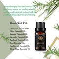 Aromatherapy Essential Oils, Vetiver Aromatherapy Essential Oils (0.33 oz - 10ml), 100% Pure Essential Oils Vetiver Scent for Diffuser, Humidifier, Massage, Aromatherapy, Skin & Hair Care