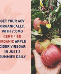 Garden Of Life Apple Cider Vinegar Probiotic Gummies Usda Organic Acv Gummy Vitamins 2 Billion Cfus Whole Food Vitamin B12-60 Vegan Non-Gmo Gummies For Digestion & Immunity