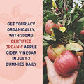 Garden Of Life Apple Cider Vinegar Probiotic Gummies Usda Organic Acv Gummy Vitamins 2 Billion Cfus Whole Food Vitamin B12-60 Vegan Non-Gmo Gummies For Digestion & Immunity
