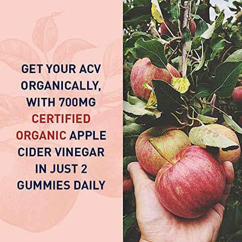 Garden Of Life Apple Cider Vinegar Probiotic Gummies Usda Organic Acv Gummy Vitamins 2 Billion Cfus Whole Food Vitamin B12-60 Vegan Non-Gmo Gummies For Digestion & Immunity