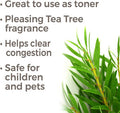 Tea Tree ORGANIC Hydrosol 4 oz (Flower Water) Bi-Product of Essential Oils