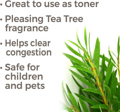 Tea Tree ORGANIC Hydrosol 4 oz (Flower Water) Bi-Product of Essential Oils