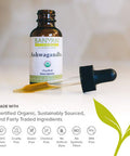 Banyan Botanicals Organic Ashwagandha Extract Withania Somnifera For Healthy Adrenals & Immune System, Stress Relief, Strength, Mood & More* 1 Fl Oz Non-Gmo Sustainably Sourced Vegan