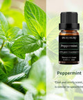 Peppermint Eucalyptus Essential Oil, 2Pcs 100% Pure, Undiluted, Natural, Organic Aromatherapy Essential Oils Gift Set