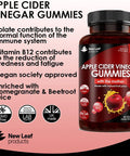 Leaf Products Apple Cider Vinegar Gummies Vegan With The Mother High Strength + Vitamin B12 Folate Pomegranate & Beetroot Fresh Pure Unfiltered Vinegar Not Powder Apple Cider Vinegar Gummy 1 Per Serving