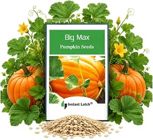 NUT CRAVINGS - Roasted & Salted Pumpkin Seeds (16oz - 1 LB) Pepitas | No Shell Packed Fresh in Resealable Bag - Nut Snack - Food Assortments, Ready to Eat, Crunchy Snack, No Shell
