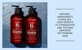 New York Biology Biotin Shampoo and Conditioner Set for Hair Growth and Thinning Hair Thickening Formula for Hair Loss Treatment For Men Women Anti Dandruff 16.9 fl Oz