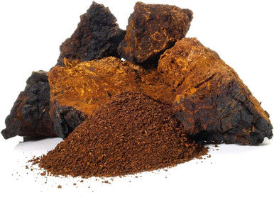 Stay Wyld Organics Chaga Mushroom Vegan Capsule Supplement - Immune System & Inflammation Support, Anti-Aging, Hair Growth, Cardiovascular Health, Antioxidant-Dense Superfood - Perfect for Adult Women & Men | (60 Capsules)